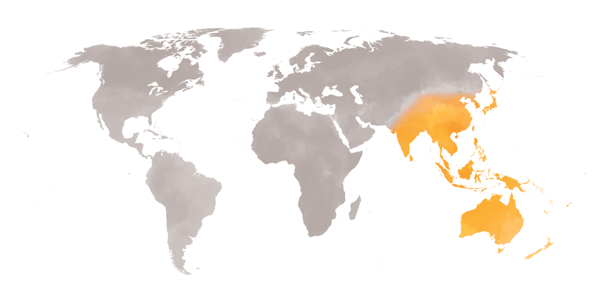 Asian Spice Map
