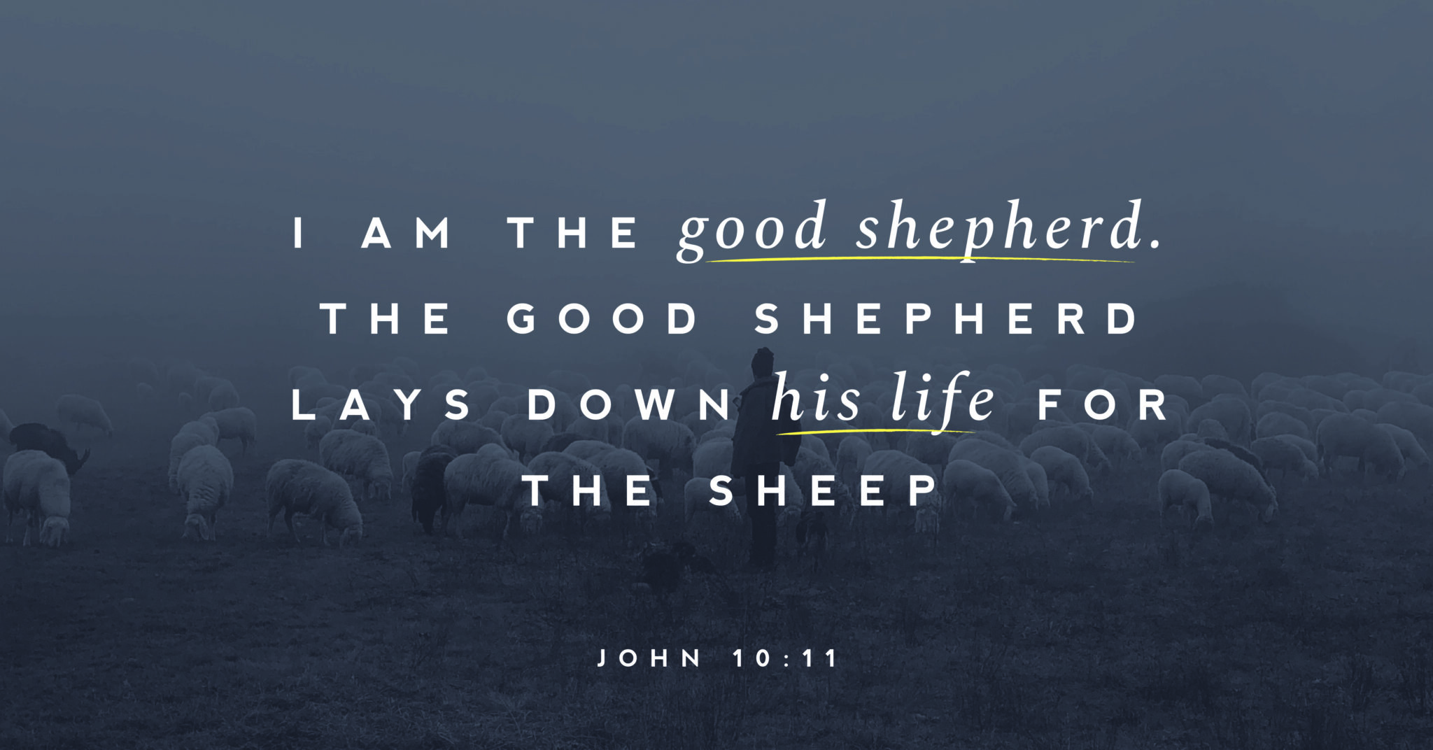 Featured image for “John 10: 1 – 40”