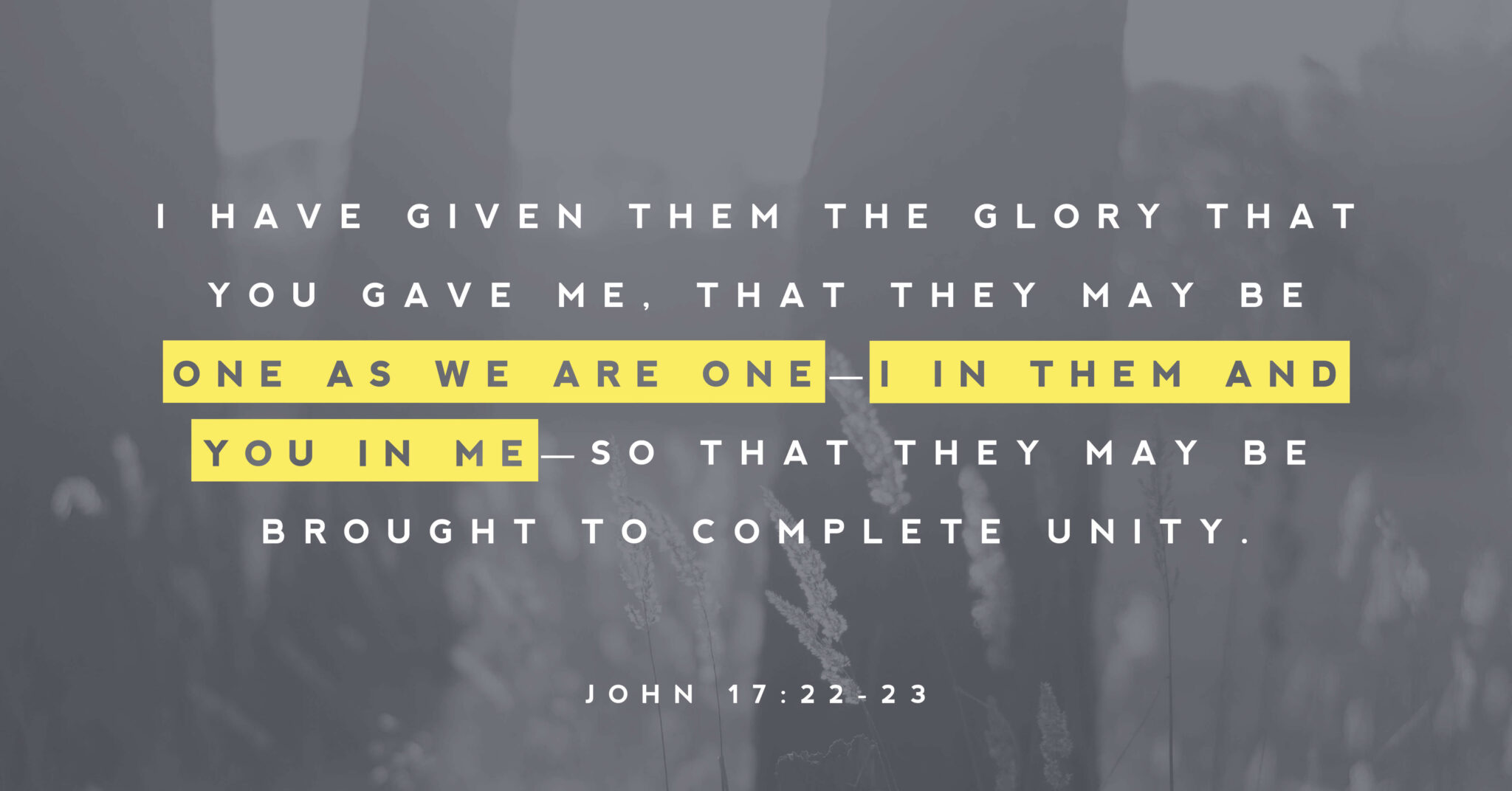 A picture of wheat with words that read "I have given them the glory that you gave me. That they may be one as we are one-I in them and you in me-so that they may be brought to complete unity" (John 17:22-23).