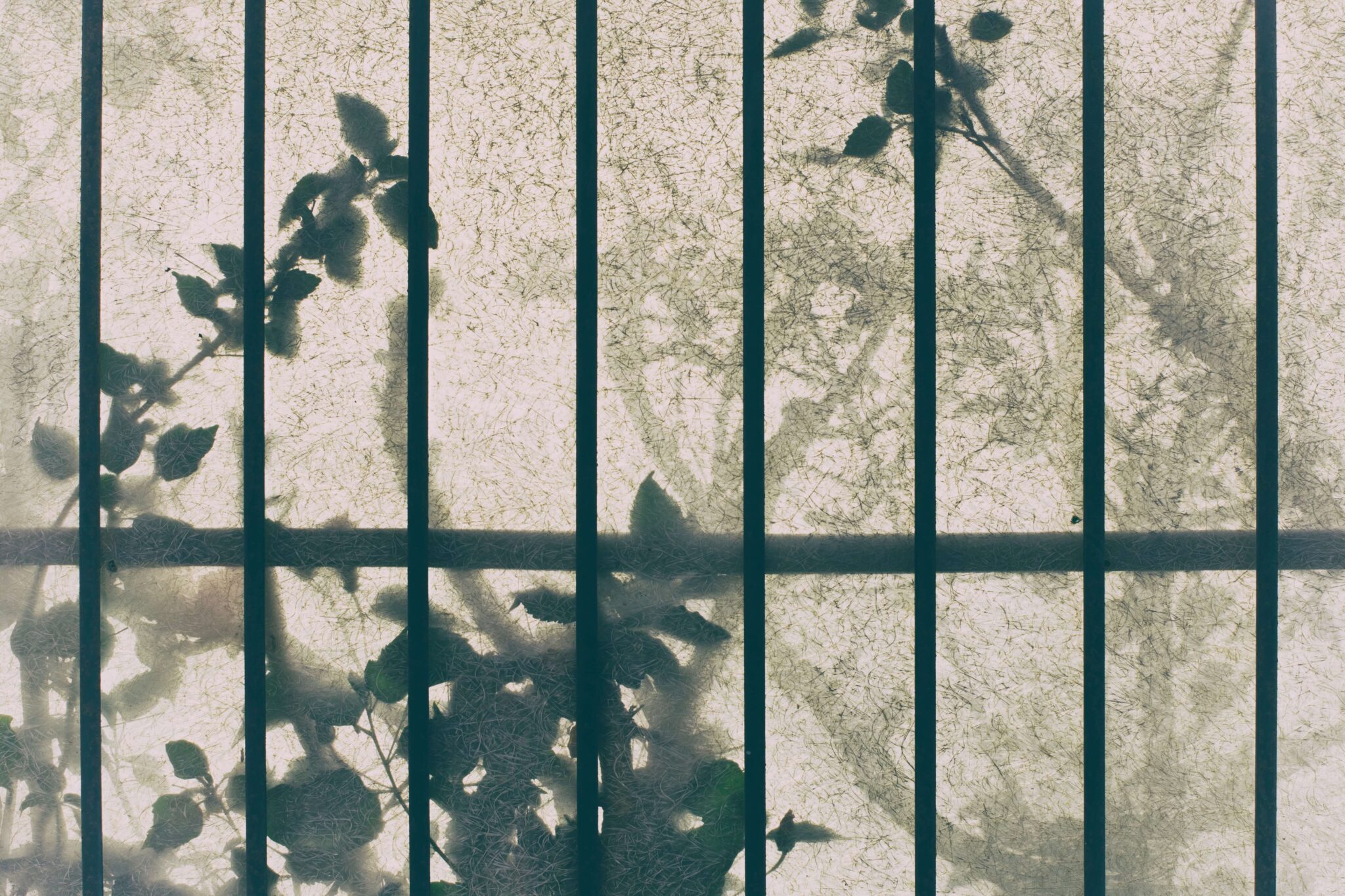 Featured image for “Joy Awaits Behind Bars”